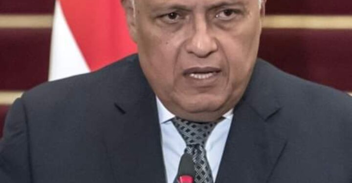 شكري يبحث هاتفيا مع وزير خارجية كوريا الجنوبية التصعيد العسكري في غزة