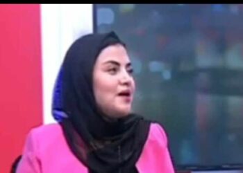 الباحثة ناريمان نادر والقانون الدولي