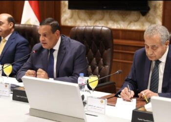 عبر الكونفرانس : وزيرا التموين والتنمية المحلية يتابعان المحافظين لتنفيذ مبادرة خفض أسعار السلع الغذائية والرقابة على الأسواق