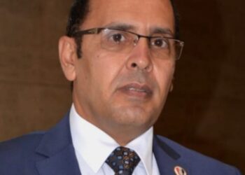 أيمن الافندي: المشاركة في الانتخابات الرئاسية واجب وطني واستحقاق دستوري يتطلب مشاركة الجميع