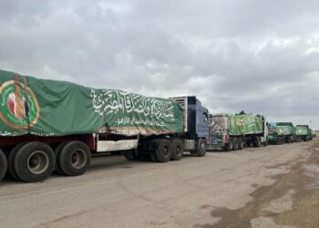 بتوجيهات شيخ الأزهر .. القافلة الثالثة لبيت الزكاة تعبر ميناء رفح البري دعمًا لغزة