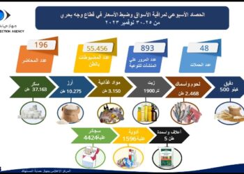 بالإنفوجراف  .. الحصاد الأسبوعي لنشاط جهاز حماية المستهلك