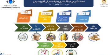 بالإنفوجراف  .. الحصاد الأسبوعي لنشاط جهاز حماية المستهلك