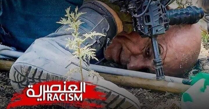 القومي للسينما وصندوق التنمية  يُنظمان أسبوعًا لسينما فلسطين ضمن فعاليات وزارة الثقافة للتضامن مع القضية الفلسطينية