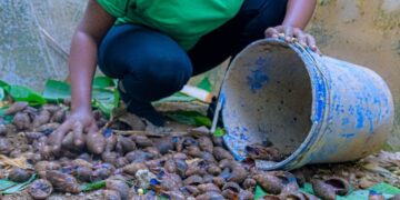 ضمن فعاليات جناح الأديان في COP28.. مجلس حكماء المسلمين يدعم 4 مشروعات دوليَّة للشباب في مجال المناخ