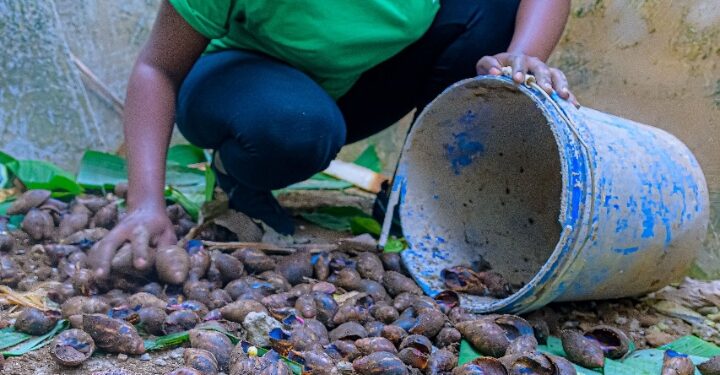 ضمن فعاليات جناح الأديان في COP28.. مجلس حكماء المسلمين يدعم 4 مشروعات دوليَّة للشباب في مجال المناخ