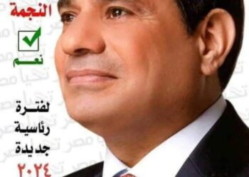 مؤسسات الدوله من أهم أسباب نجاح العمليه الانتخابية مع الوعي الكافي للشعب المصري