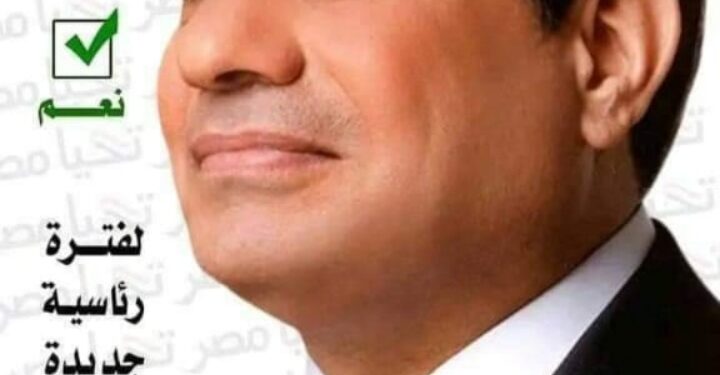 مؤسسات الدوله من أهم أسباب نجاح العمليه الانتخابية مع الوعي الكافي للشعب المصري