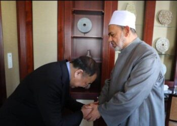 جولات شيخ الأزهر الخارجية في عام 2023م