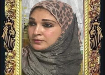 القوة الناعمة