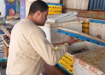 تحرير ٢٠٦ محضر وإعدام ١٣٧٨ كجم أغذية غير صالحة للاستهلاك الآدمي و ضبط ٨٧٠  كجم أغذية منتهية الصلاحية  _____