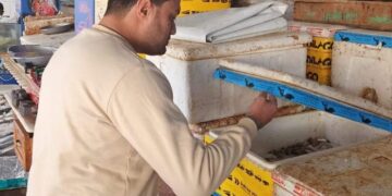 تحرير ٢٠٦ محضر وإعدام ١٣٧٨ كجم أغذية غير صالحة للاستهلاك الآدمي و ضبط ٨٧٠  كجم أغذية منتهية الصلاحية  _____