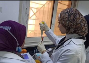 في تقرير مقدم لوزير التعليم العالي : إنشاء عيادة زراعية تستخدم تقنيات الذكاء الاصطناعي لزيادة الإنتاجية وخدمة أهالي سيناء بجامعة العريش