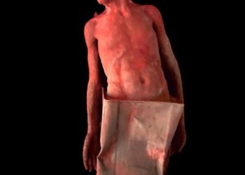 تحت رعاية وزيرة الثقافة  .. بيان جوائز الدورة الرابعة والثلاثون لصالون الشباب