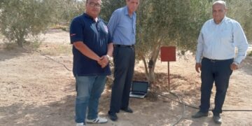 جامعة الملك سلمان الدولية تجرى بحوثًا للتقنيات الرقمية الذكية لحساب الاستهلاك المائي لأشجار الزيتون