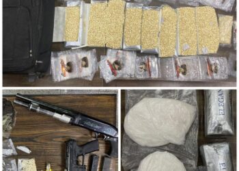 إدارة مكافحة المخدرات بالأردن تحبط عمليات تهريب واسعة