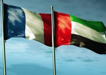 فرنسا والإمارات، تقسیم الأدوار في إفریقیا