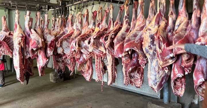 وزير التموين : التعاقد على 20 الف رأس ماشية من جيبوتي لشهر رمضان وعيد الاضحي