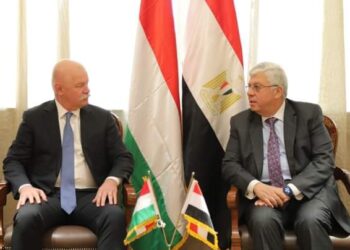 حصاد عام على إطلاق الإستراتيجية الوطنية للتعليم العالي والبحث العلمي