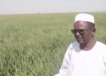 معالي البروفيسور الدخيري يؤكد على دور مشروع الجزيرة كبذرة أمل للأمن الغذائي في السودان رغم تحديات الحرب