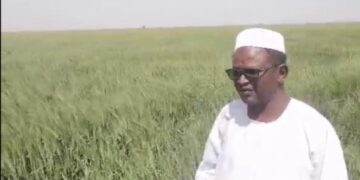 معالي البروفيسور الدخيري يؤكد على دور مشروع الجزيرة كبذرة أمل للأمن الغذائي في السودان رغم تحديات الحرب