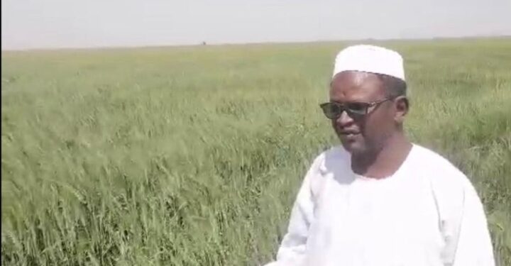 معالي البروفيسور الدخيري يؤكد على دور مشروع الجزيرة كبذرة أمل للأمن الغذائي في السودان رغم تحديات الحرب