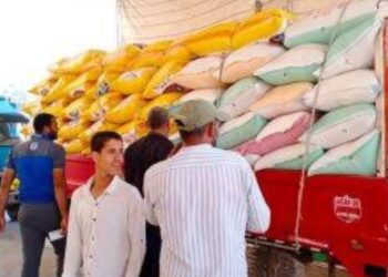 تموين كفر الشيخ  : فتح مواقع استلام القمح المحلي وتم توريد 162 طن و 456كجم حتى صباح الثلاثاء