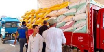 تموين كفر الشيخ  : فتح مواقع استلام القمح المحلي وتم توريد 162 طن و 456كجم حتى صباح الثلاثاء