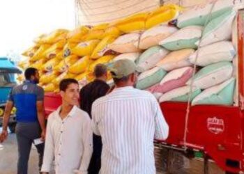 تموين كفر الشيخ  : إنتظام حركة توريد الاقماح المحلية وتم توريد 582 طن و493 كجم حتى صباح الخميس