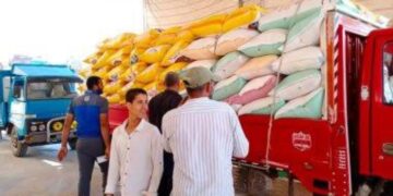 تموين كفر الشيخ  : إنتظام حركة توريد الاقماح المحلية وتم توريد 582 طن و493 كجم حتى صباح الخميس