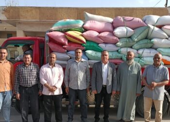 تموين كفر الشيخ  : اجمالي توريد القمح المحلي حتى صباح السبت 20 ابريل 2608 طن و 444 كجم