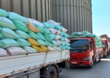 الهابط  :  إجمالي توريد الاقماح المحلية لصوامع كفر الشيخ حتى صباح اليوم 57179 طن و 332 كجم