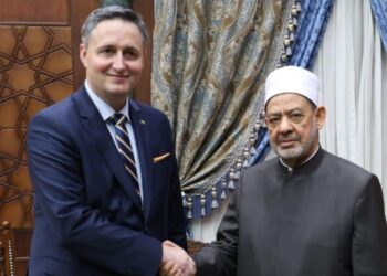 شيخ الأزهر والرئيس البوسني في بيان مشترك : ما يحدث في غزة وصمة عار على جبين الإنسانية