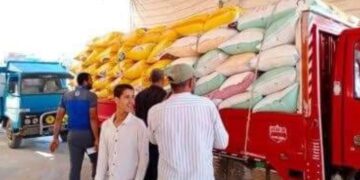 تموين كفر الشيخ  : اجمالي توريد الاقماح المحلية للصوامع والشون حتى صباح اليوم  77283 طن و96  كجم