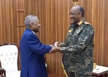 تهنئ شركة AM للتسويق العقارى فخامة السفير / عماد عدوى  سفيرا لجمهورية السودان الشقيقة بجمهورية مصر العربية