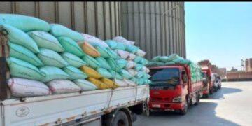 تموين كفرالشيخ  : انتظام توريد الاقماح المحلية بإجمالي 107849 طن و109 كجم حتي صباح الجمعة