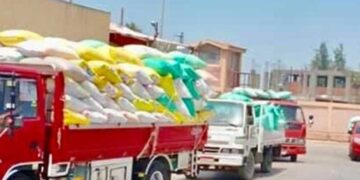 انتظام توريد الاقماح لشون وصوامع كفر الشيخ بإجمالي 146864 طن و618 كجم حتى صباح اليوم
