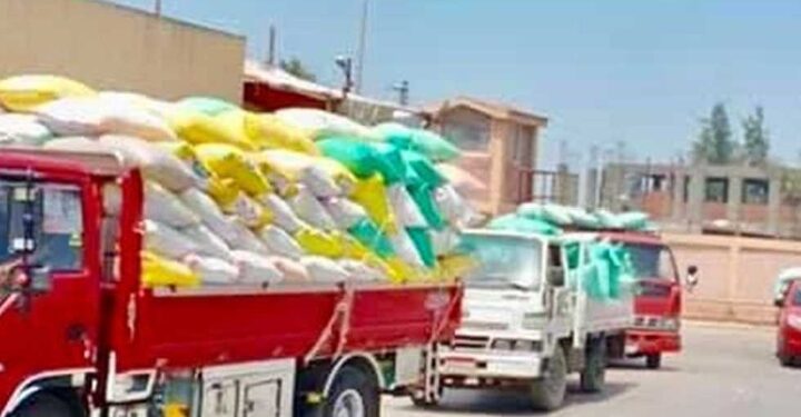 انتظام توريد الاقماح لشون وصوامع كفر الشيخ بإجمالي 146864 طن و618 كجم حتى صباح اليوم