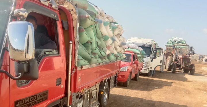 وكيل وزارة تموين كفر الشيخ  : انتظام توريد الاقماح للصوامع والشون بإجمالي 177845 طن و 679 كجم حتي صباح اليوم