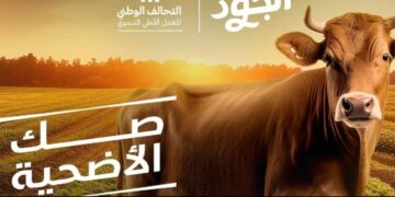 مؤسسة الجود تطلق صك الأضحية وتستهدف أكبر عدد من الأسر الأكثر إستحقاقًا في الصعيد