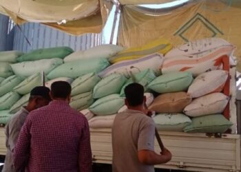 تموين كفر الشيخ  : استلام 184669 طن و 22 كجم من الاقماح المحلية حتي صباح الخميس