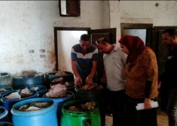تموين كفر الشيخ  : حملة تموينية بفوه تسفر عن ضبط 6890 كجم سمك مملح منتهي الصلاحية