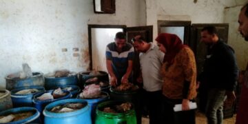 تموين كفر الشيخ  : حملة تموينية بفوه تسفر عن ضبط 6890 كجم سمك مملح منتهي الصلاحية