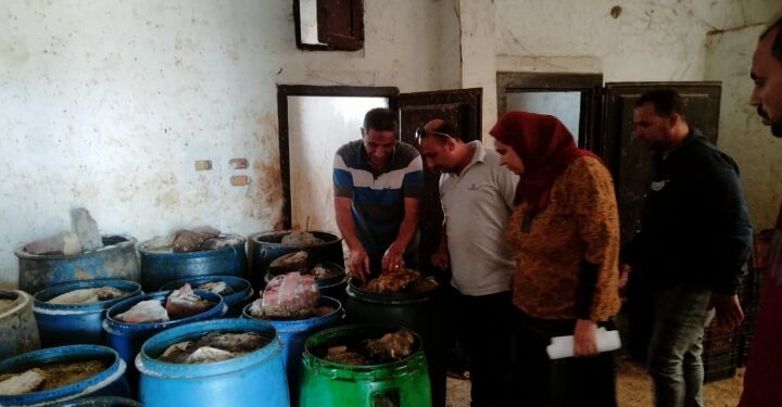 تموين كفر الشيخ  : حملة تموينية بفوه تسفر عن ضبط 6890 كجم سمك مملح منتهي الصلاحية