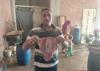 حملات تموينية مكثفة بدسوق وفوه وقلين تسفر عن ضبط 990 كجم اسماك مملحة فاسدة ومخالفات متنوعة