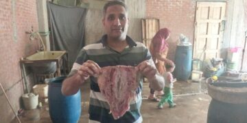 حملات تموينية مكثفة بدسوق وفوه وقلين تسفر عن ضبط 990 كجم اسماك مملحة فاسدة ومخالفات متنوعة