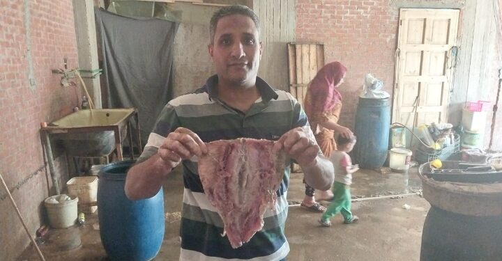 حملات تموينية مكثفة بدسوق وفوه وقلين تسفر عن ضبط 990 كجم اسماك مملحة فاسدة ومخالفات متنوعة