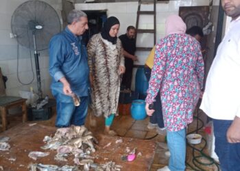 تموين كفر الشيخ  : ضبط 900 كجم اسماك مملحة فاسدة و1000 عبوة عسل اسود غير مرخص بفوه ودسوق