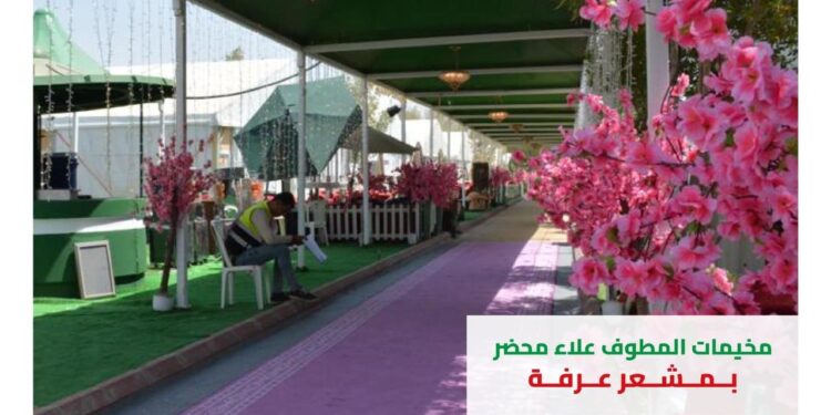 المطوف علاء محضر يفوز بتنفيذ 95% من الحج السياحي المصري الـ5 نجوم