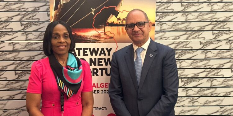 مدكور» يناقش مع «Afreximbank» تنفيذ مشروعات للطاقة والبنية التحتية وتعزيز التنمية المستدامة بأفريقيا